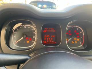 FIAT Panda usata 15