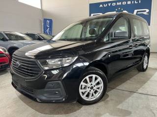 FORD Tourneo Connect usata, con Controllo vocale