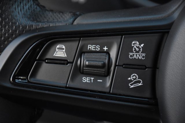 ALFA ROMEO Stelvio usata, con Bracciolo