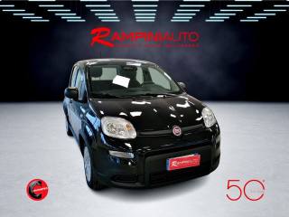 FIAT Panda usata 3