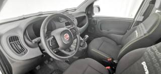 FIAT Panda usata 55