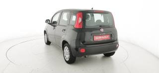 FIAT Panda usata, con Alzacristalli elettrici