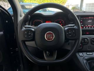 FIAT Panda usata 31