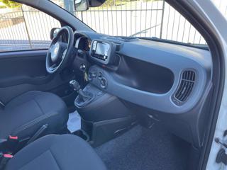 FIAT Panda usata, con Cruise Control