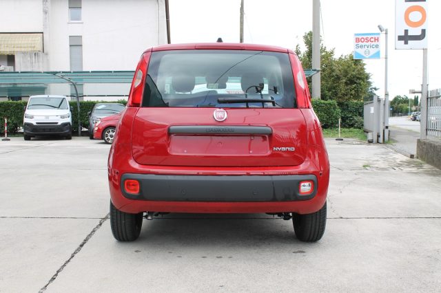 FIAT Panda usata, con Antifurto
