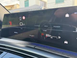PEUGEOT 3008 usata, con Cruise Control