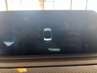 BMW 218 usata, con Immobilizzatore elettronico