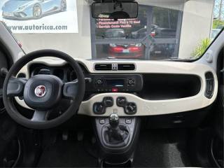 FIAT Panda usata, con Cronologia tagliandi