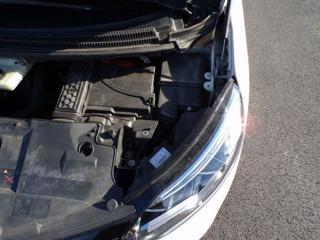 RENAULT Scenic usata 95