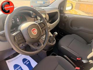 FIAT Panda usata, con Controllo trazione