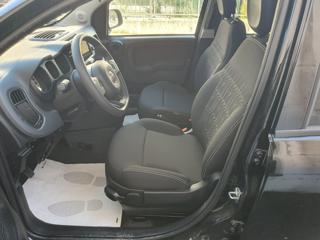 FIAT Panda Cross usata, con Climatizzatore