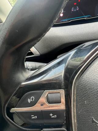 PEUGEOT 3008 usata, con Cruise Control