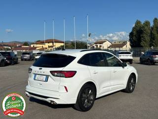 FORD Kuga usata, con Airbag Passeggero