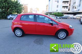 FIAT Punto usata 21