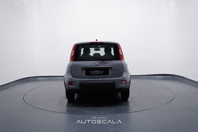 FIAT New Panda usata, con USB