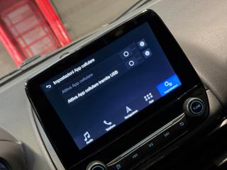 FORD EcoSport usata, con Filtro antiparticolato