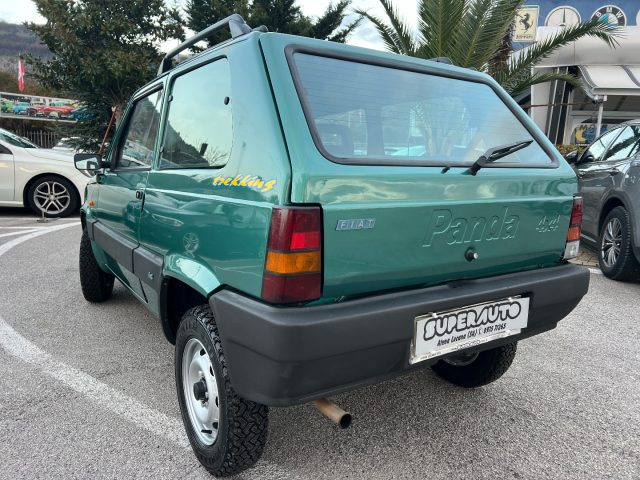 FIAT Panda usata, con Immobilizzatore elettronico