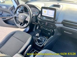 FORD EcoSport usata, con Boardcomputer