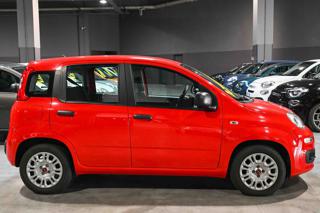 FIAT Panda usata, con Alzacristalli elettrici