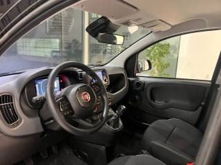 FIAT Panda usata, con Fendinebbia