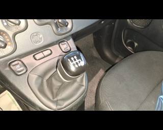 FIAT New Panda usata, con Vetri oscurati