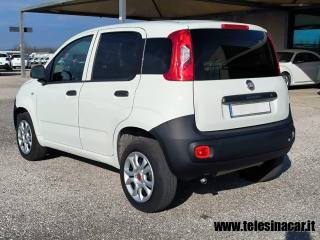 FIAT Panda usata, con Servosterzo