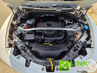 ALFA ROMEO Stelvio usata, con Fendinebbia