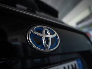 TOYOTA RAV 4 usata, con Fendinebbia