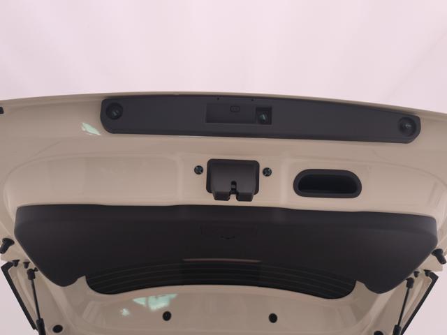 BYD Dolphin Surf usata, con Bracciolo
