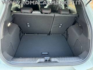 FORD Puma usata, con Bracciolo