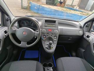 FIAT Panda usata 9