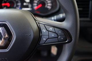 RENAULT Trafic usata 30
