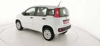 FIAT Panda usata 29