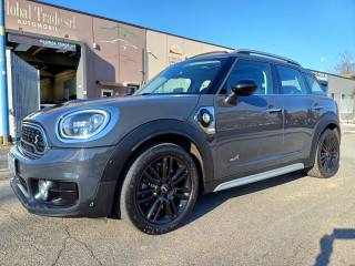 MINI Countryman usata, con Autoradio