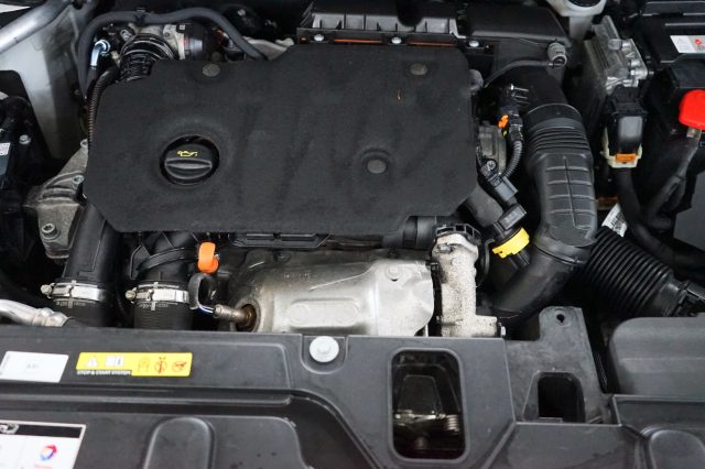 PEUGEOT 3008 usata 64