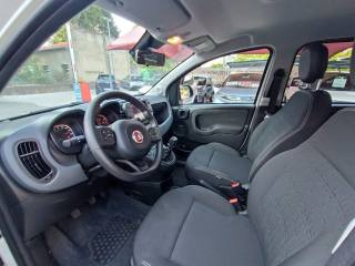 FIAT Panda Cross usata, con Climatizzatore