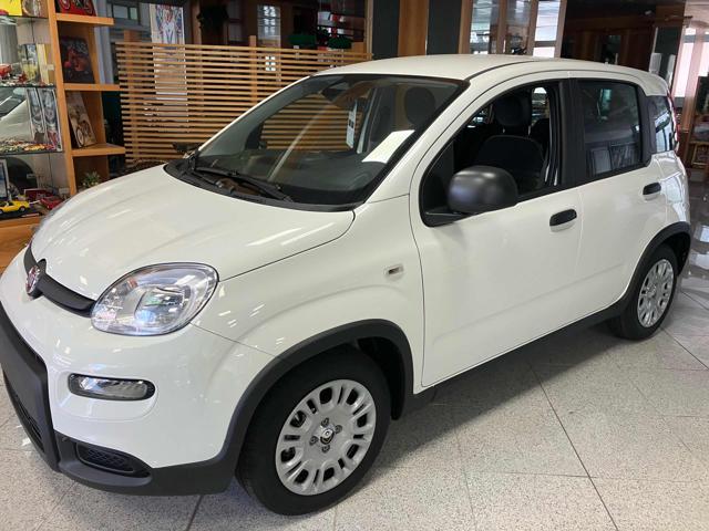 FIAT Panda usata, con Airbag Passeggero