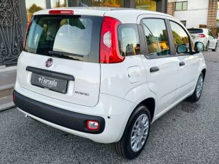 FIAT Panda usata, con Airbag laterali