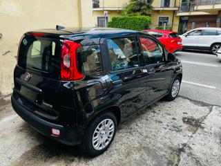 FIAT Panda usata, con Autoradio