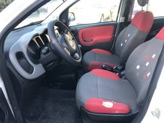 FIAT Panda usata 9