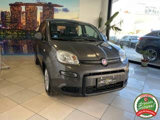 FIAT Panda usata, con Volante multifunzione