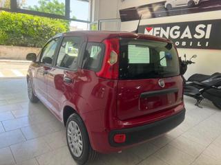FIAT Panda usata, con Chiusura centralizzata