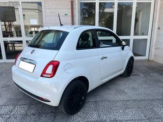 FIAT 500 usata 8
