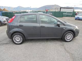 FIAT Punto usata 14
