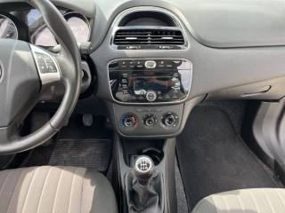 FIAT Punto usata 12