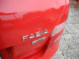 SKODA Fabia usata 71