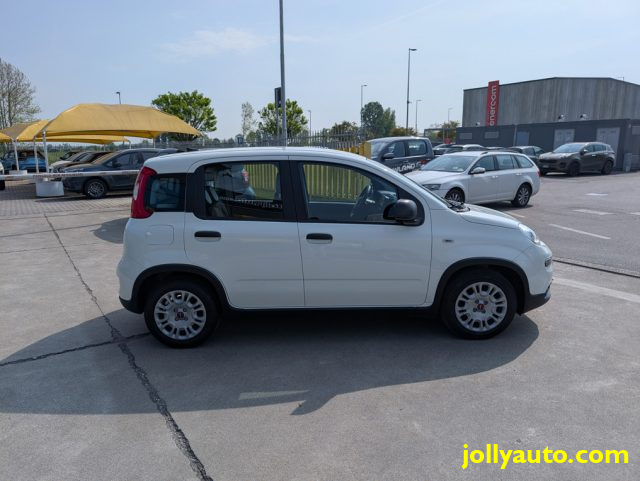 FIAT Panda usata, con Alzacristalli elettrici