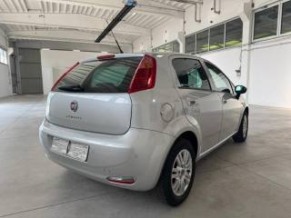 FIAT Punto usata, con Airbag Passeggero