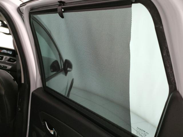 RENAULT Scenic usata, con Bracciolo
