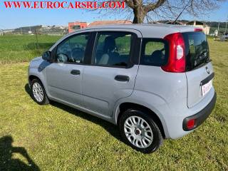 FIAT Panda usata, con Chiusura centralizzata